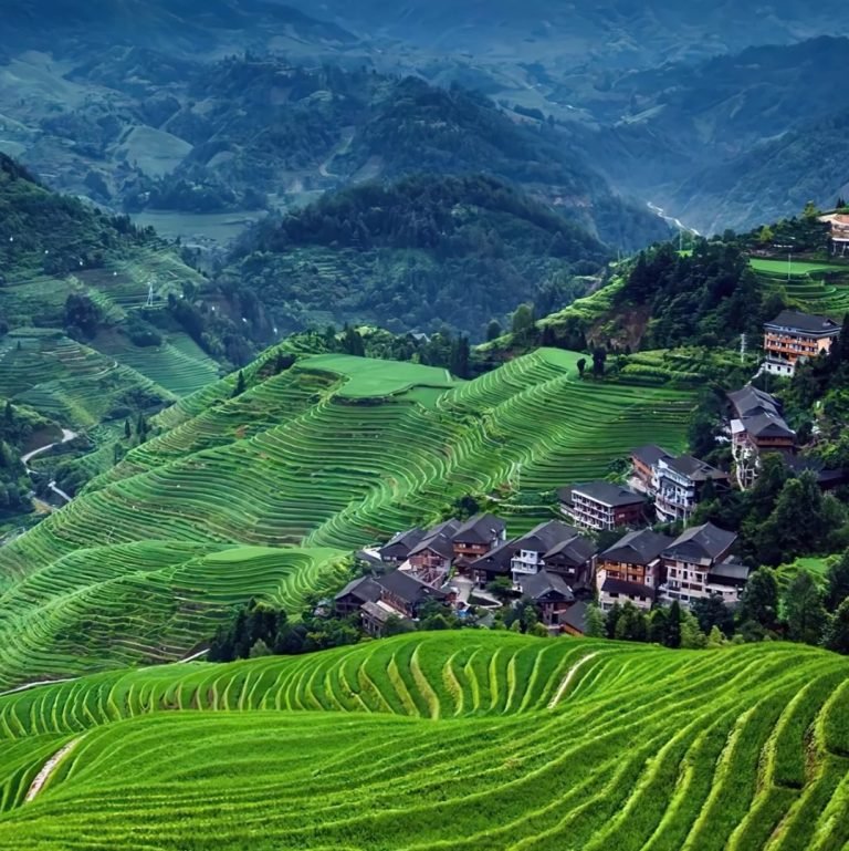 Longji Rice Terrace