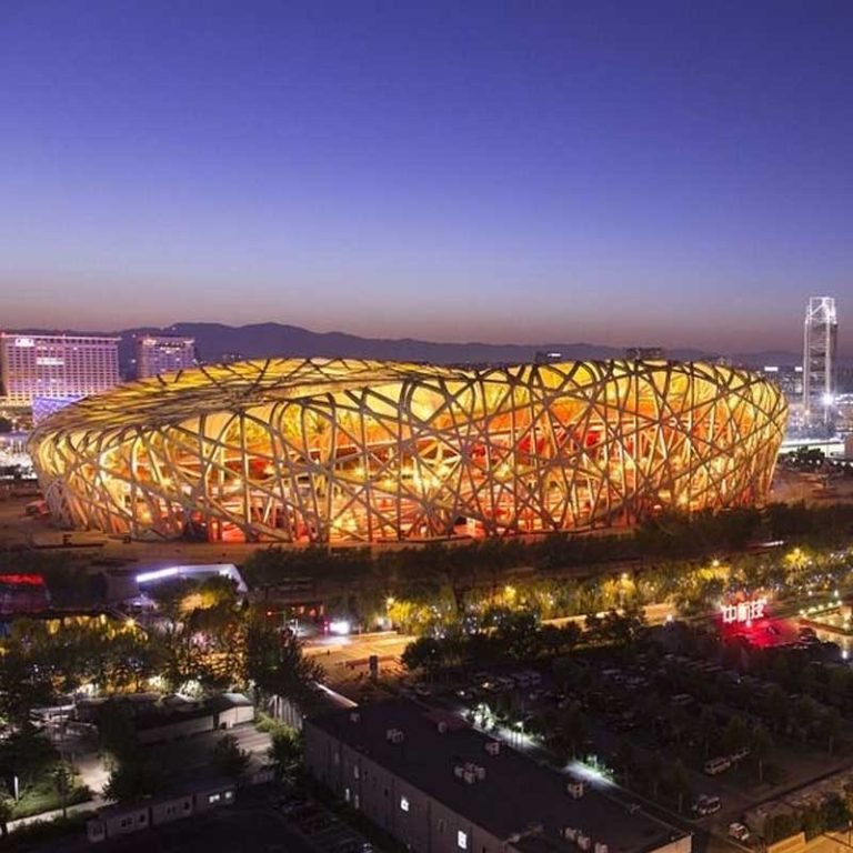 Bird's Nest